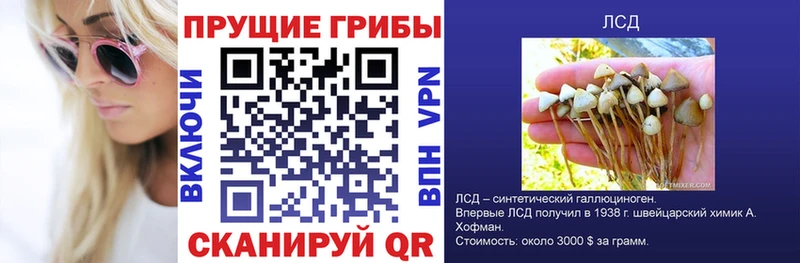 Купить  Красноперекопск  Галлюциногенные грибы Psilocybe 